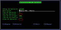 Example - Screen with restricted fields